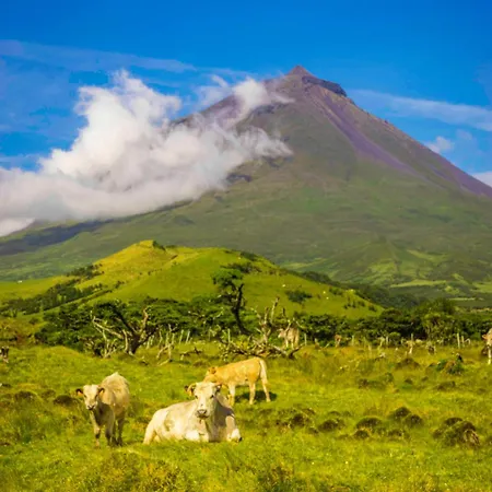 Casa Da Baia Da * Manhenha