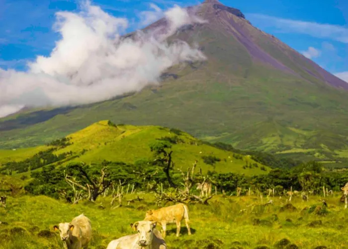Casa Da Baia Da * Manhenha